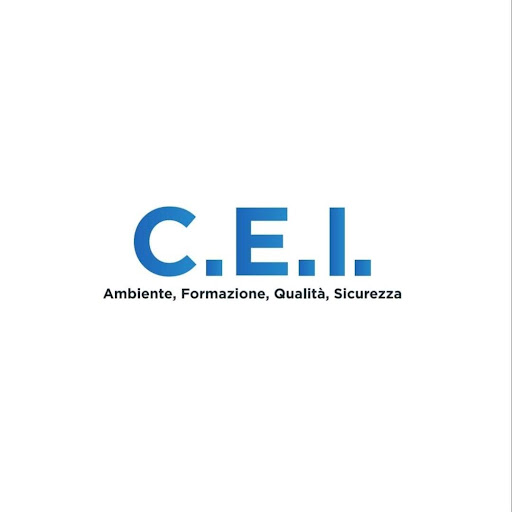 C.E.I. Consulenze Evolute Alle Imprese S.r.l. - Thumbnail
