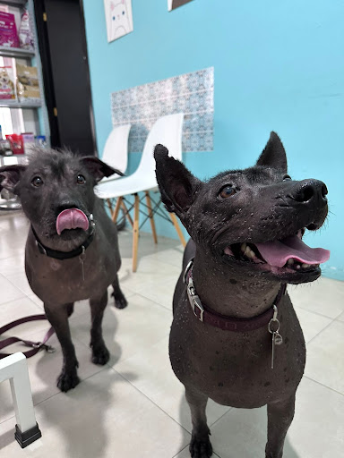 VetCuerna