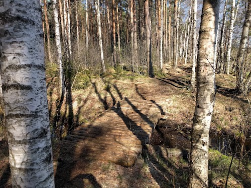 Парк