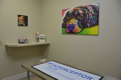 Goose Creek Pet Hospital