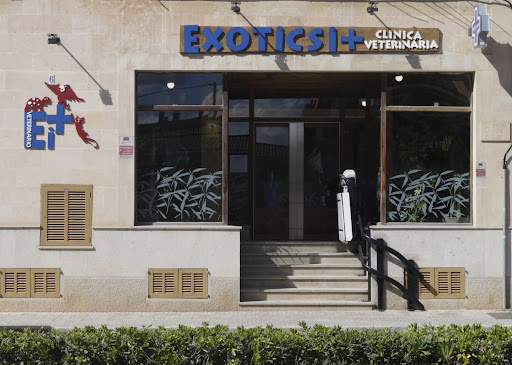 EXÒTICS I +, CLÍNICA VETERINARIA EN LLUCMAJOR