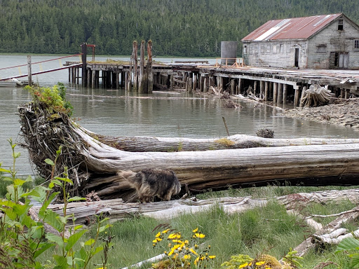 Cassiar Cannery - Visual