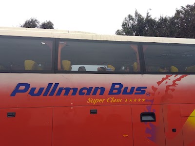 Photos of Terminal de Buses Pullman Bus Los Vilos