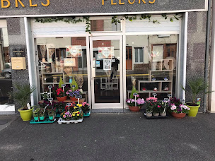 Photo n°3 de FOB fleurs à Breteuil (Fleuriste)