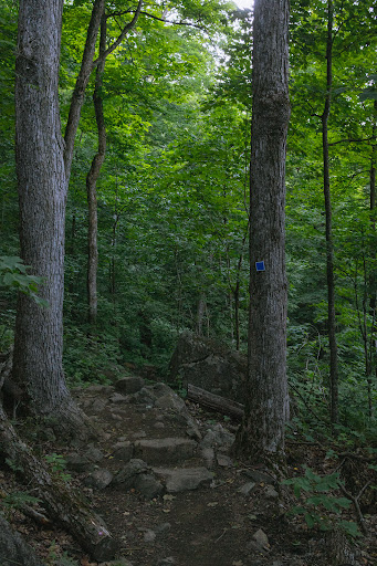 Mont Shaw - Visual
