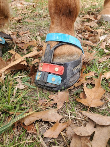 Walking On Boots
