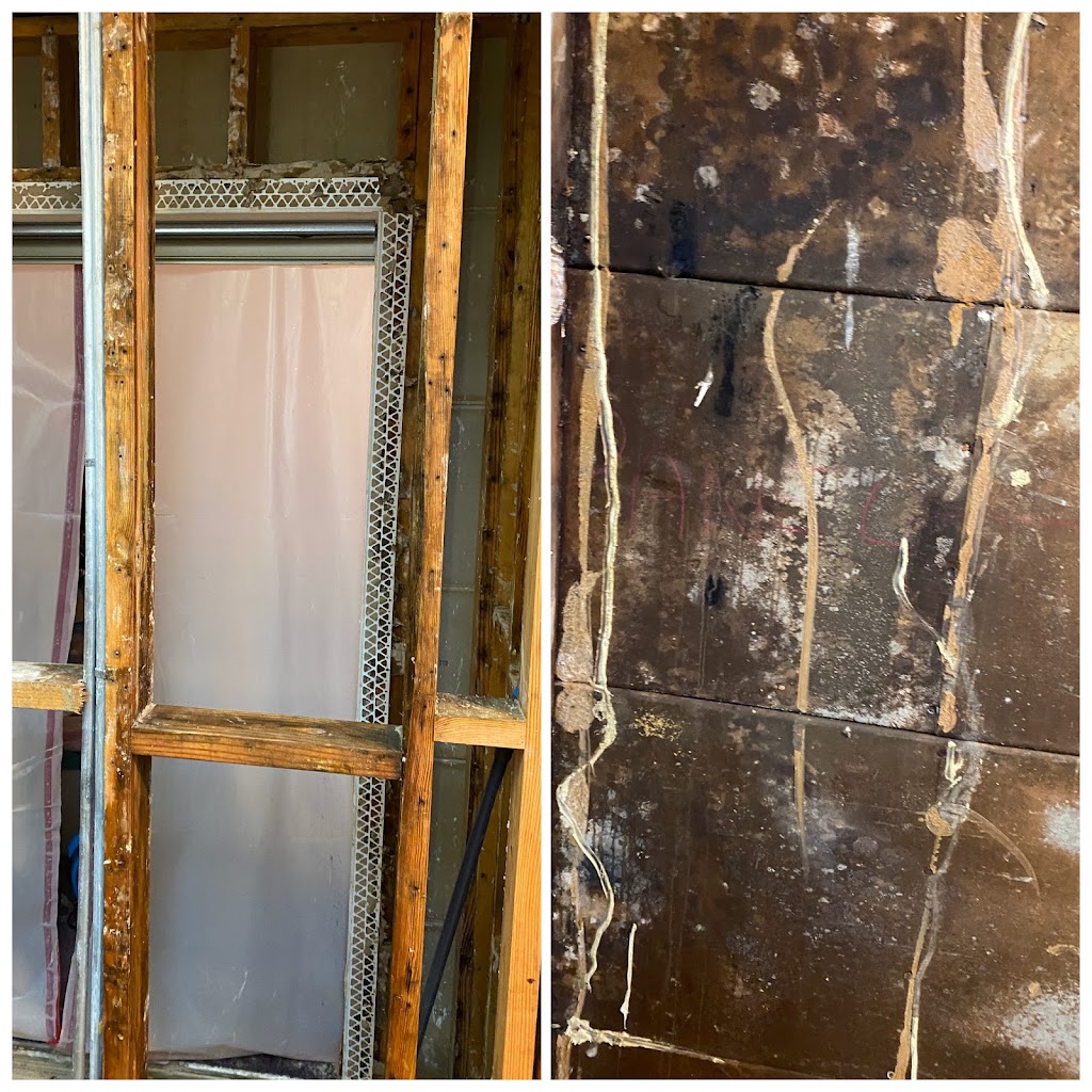 Mold Care Corp photo
