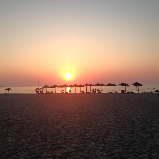 Hakuna Matata Beach - Thumbnail