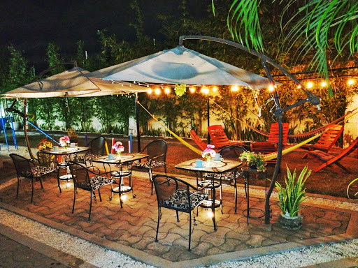 Finca Bambino Veracruz