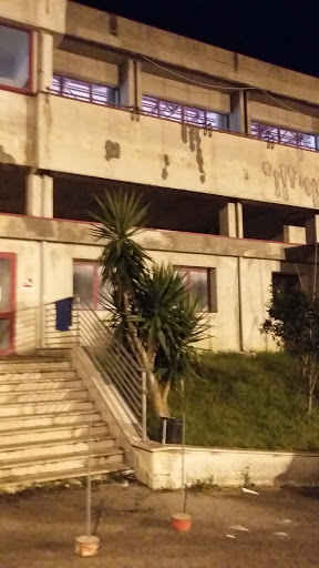 Palascherma - Visual