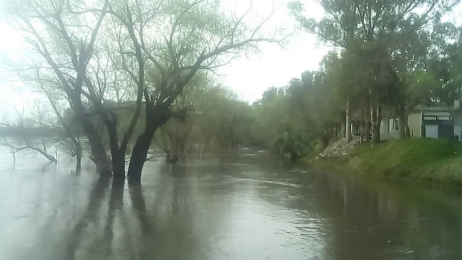 Comentarios y opiniones de Camping Santa Lucia Canelones