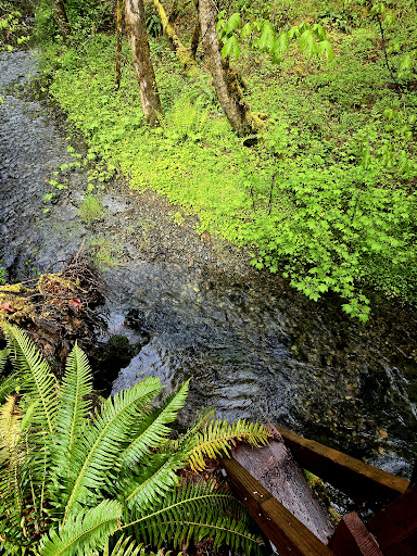 Secret Creek Campground - Thumbnail