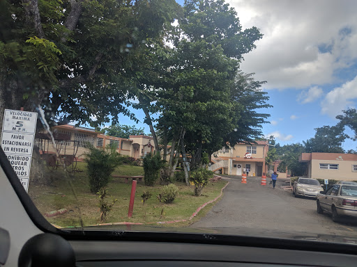 Fundacion Modesto Gotay - Thumbnail