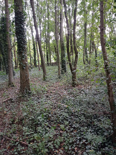 Castle Hill Castle - Thumbnail