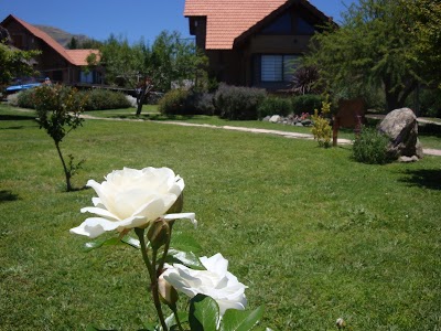 Photos of Caba&ntilde;as Pehuen