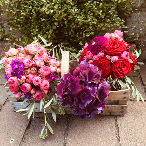Style & Bloom - Visual