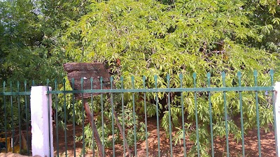 Photos of Oru Bandi Siyambalawa Dewalaya