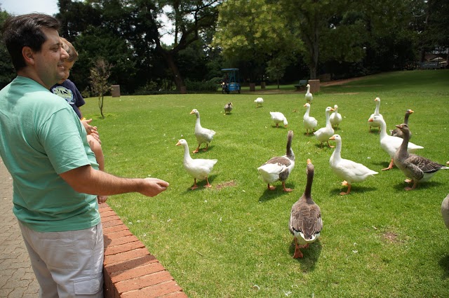 Johannesburg Botanical Gardens Thomas Bowler parking