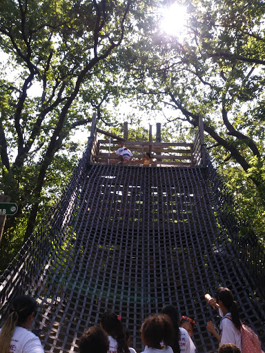 Camp Thurman - Visual
