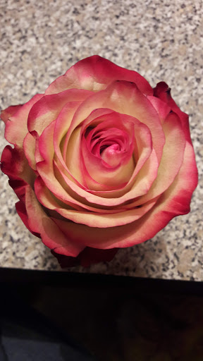 Annes Blumen - Thumbnail