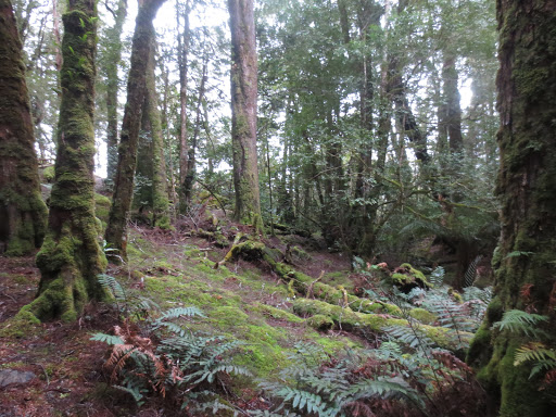 Ralph Falls Carpark - Thumbnail