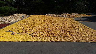 Photos of Tomb of King Tongmyong