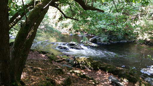 Bodetal Tourismus GmbH - Thumbnail
