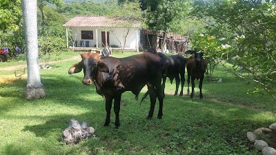 Photos of Hacienda De Las Mercedes