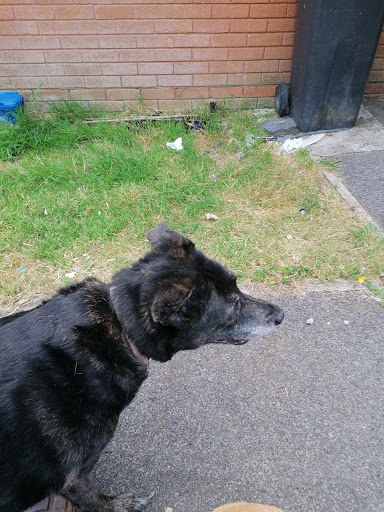 RSPCA Merthyr Tydfil Clinic - Thumbnail