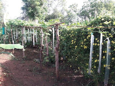 Photos of Weerawila Temple