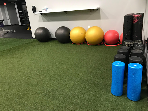 HealthQuest Physical Therapy - Auburn Hills - Thumbnail