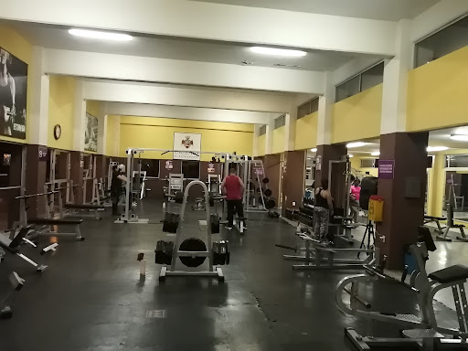 Gimnasio Pluviosilla Gallery - Mexico