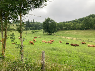 Photo n°4 de EARL chez tata Caro à Châtignac (Pizzas à emporter)