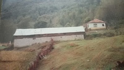 Photos of سوادکوه نیوز
