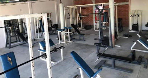 TaurusGym - Visual
