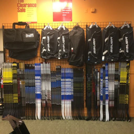 Play It Again Sports Carrollwood Tampa Gallery - United States