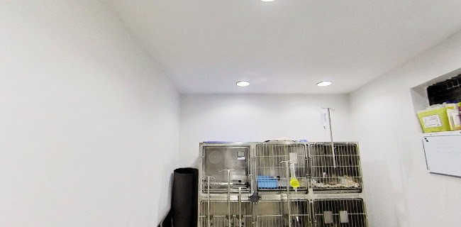 Clínica Veterinaria Petrohue - Veterinario