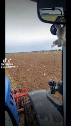 Photo n°8 de Boullier Yannick à Germigny-des-Prés (Maraîcher)