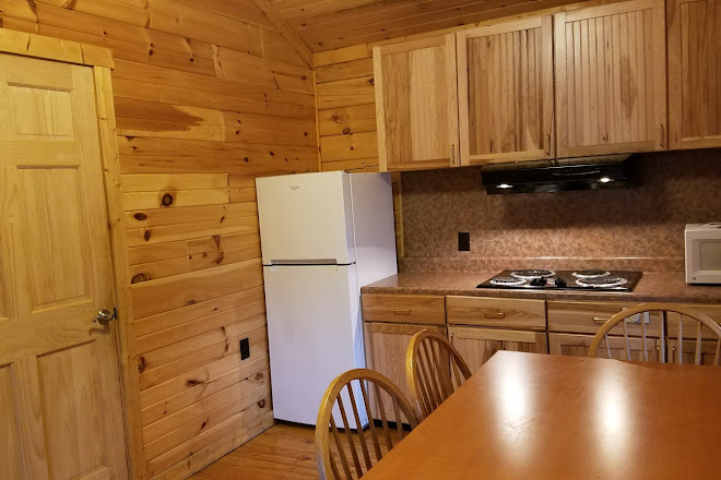 Visit Black Moshannon State Park On Your Trip To Philipsburg
