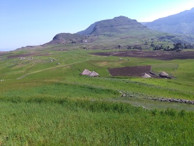 Photos of Access Eco Trekking Tours | Discover the Local Side of Ethiopia- Community Based Tourism In Ethiopia |