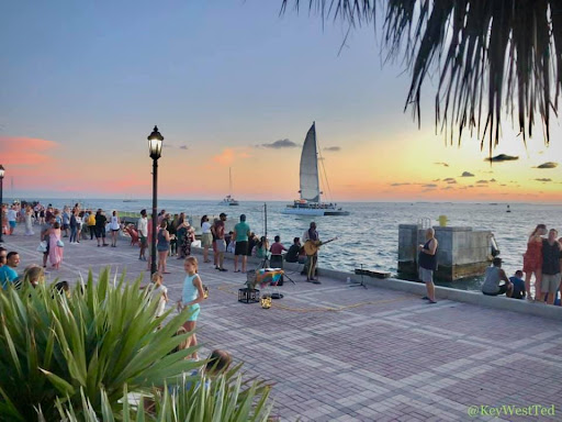 Key West Ted - Visual