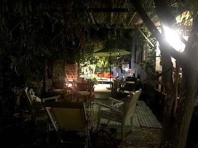 Söğüt Ağacı Atölye & Cafe