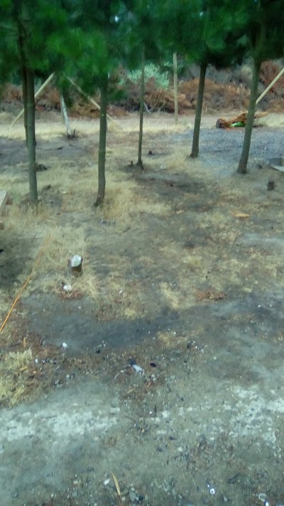 Photos of Camping El Refugio