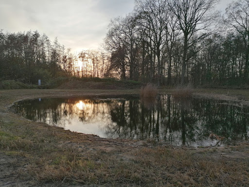 Herdenkingsmonument ( gevallen engel , liberationroute ) - Thumbnail