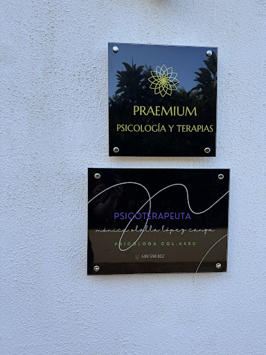 Centro de Psicología y Terapias Praemium