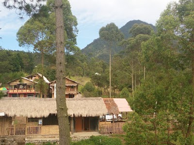 Photos of Papandayan Camping Ground