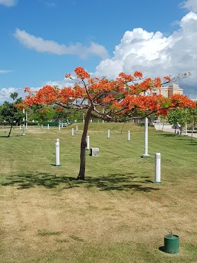 Jardín Urbano de Isla Verde, Author: Luis Josue Ayala Perez