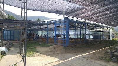 Photos of 신갈승마클럽