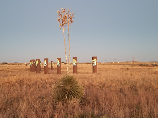 Actual Contact - Visual