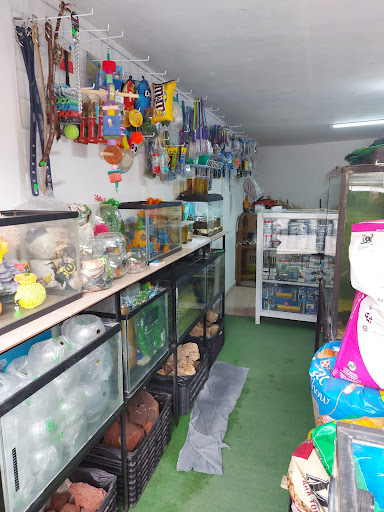 Acuario RICHSU